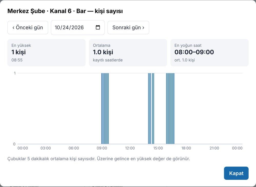 Günlük grafik: en yüksek, ortalama ve en yoğun saat